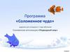 Программа «Соломенное чудо»