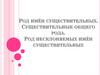 Род имён существительных. Существительные общего рода. Род несклоняемых имён существительных