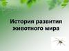 История развития животного мира