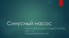 Синусный насос термодинамика