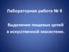 Выделение пищевых цепей в искусственной экосистеме