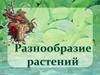 Разнообразие растений