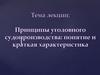 Принципы уголовного судопроизводства: понятие и краткая характеристика