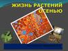 Жизнь растений осенью