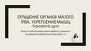 Опущение органов малого таза. Укрепление мышц тазового дна