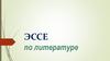 Эссе по литературе