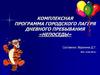 Комплексная программа городского лагеря дневного пребывания