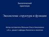 Экосистема: структура и функции
