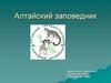 Алтайский заповедник