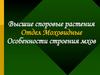 Высшие споровые растения. Отдел Моховидные. Особенности строения мхов