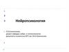 Нейропсихология
