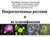 Покрытосеменные растения и их классификация
