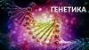 Методы исследования в генетике
