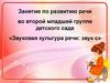 Занятие по развитию речи «Звуковая культура речи: звук С»