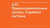 Правоохранительные органы. Судебная система