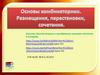 Основы комбинаторики. Размещения, перестановки, сочетания. Урок 23