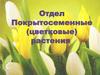 Отдел Покрытосеменные (цветковые) растения