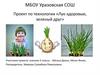 Проект по технологии «Лук-здоровью, зеленый друг»