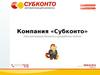 Компания «Субконто». Автоматизация бизнеса и разработка сайтов
