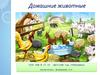 Домашние животные