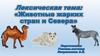Лексическая тема "Животные жарких стран и Севера"