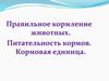 Правильное кормление животных. Питательность кормов. Кормовая единица
