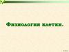 Физиология клетки