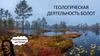 Геологическая деятельность болот
