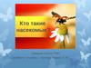 Кто такие насекомые?