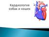 Кардиология собак и кошек