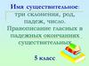 Имя существительное: три склонения, род, падеж, число. Правописание гласных в падежных окончаниях существительных (5 класс)