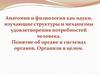 Анатомия и физиология как науки, изучающие структуры и механизмы удовлетворения потребностей человека