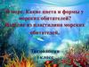 В море. Какие цвета и формы у морских обитателей? Изделие из пластилина морских обитателей. Технология. 1 класс