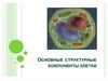 Основные структурные компоненты клетки