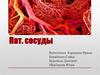 Пат. сосуды
