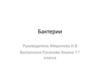 Бактерии. Разновидности бактерий