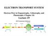 Electron transport system