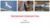 Внутреннее строение птиц