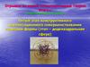 Пятый этап конструктивного цивилизационного совершенствования гармонии формы (этап – додекаэдральная сфера)
