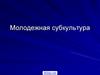 Молодежная субкультура