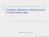 Основные сведения о строении атома. Состав атомных ядер