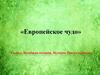 Европейское чудо. 8 класс. Всеобщая история. История Нового времени