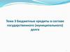 Бюджетные кредиты в составе государственного (муниципального) долга