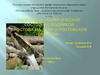 Гидролого-экологическое состояние родников г. Ростова-на-Дону и Ростовской области»
