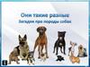 Породы собак