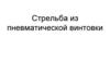 Стрельба из пневматической винтовки