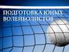 Подготовка юных волейболистов