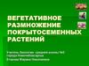 Вегетативное размножение покрытосеменных растений