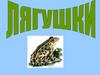 Лягушки-квакушки
