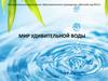 Мир удивительной воды